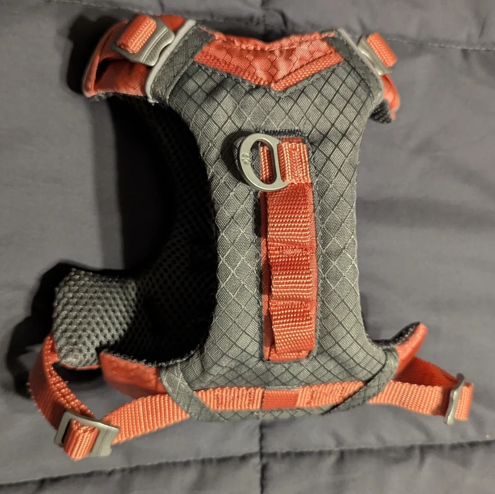 Kurgo sturdy harness